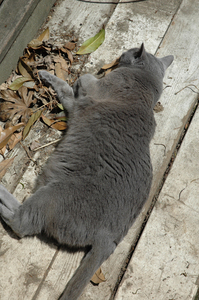 100412_04.jpg
