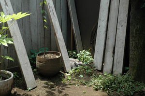 100614_01.jpg