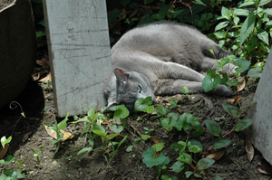 100614_03.jpg