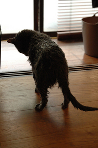 100614_05.jpg