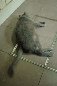 100701_01.jpg