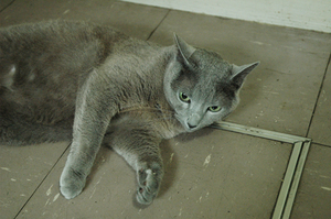 100701_02.jpg