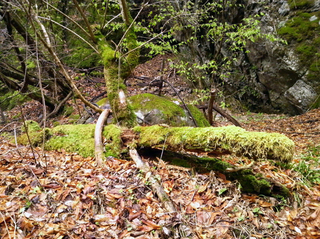 110501_03.jpg