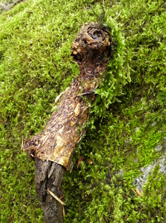 110501_04.jpg