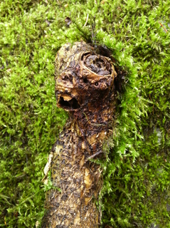 110501_05.jpg