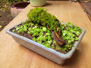110501_06.jpg