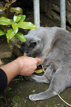 120523_03.jpg