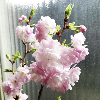 130404_01.jpg