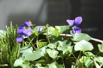 130404_03.jpg