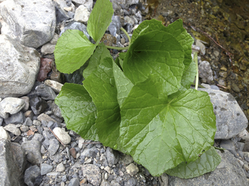 130511_03.jpg