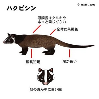 130705_01.jpg
