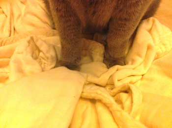130921_01.jpg