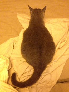 130921_02.jpg