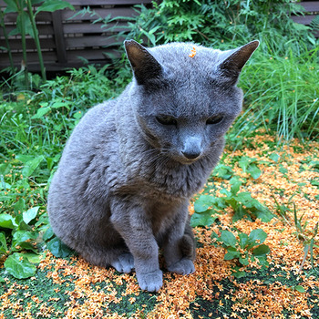 201027_04.jpg