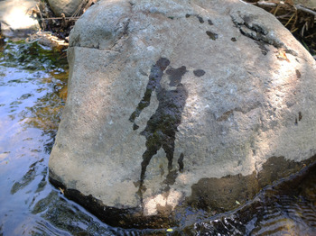 OomonoKaeru.jpg