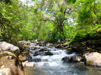 kachi190526.JPG